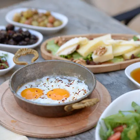 D'core 酒店 阿拉恰特